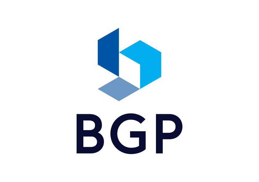 BGP Consulting wireframe